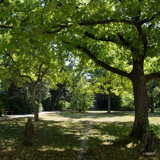 Baumbestand des Stephanigartens
