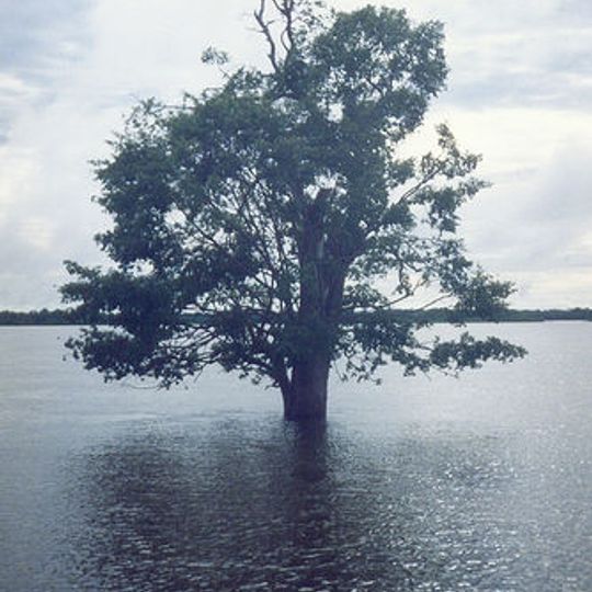 Araguaia River