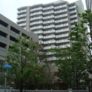 Canale Nakameguro