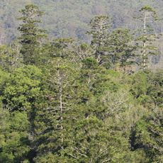 Parque nacional Mallanganee