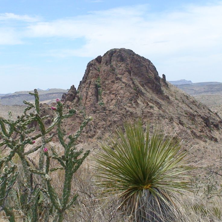Parc Désertique de l'Ouest du Texas