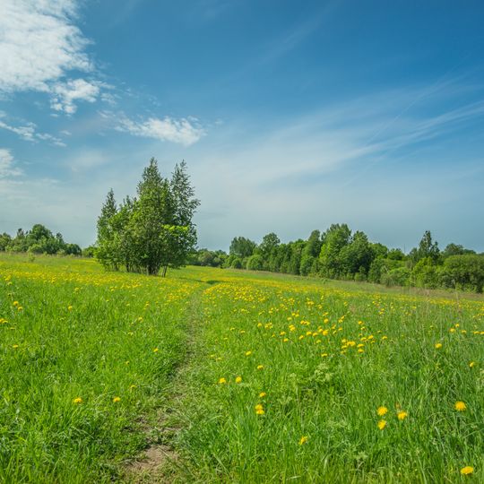 Park in Shapkino, Nizhny Novgorod Oblast