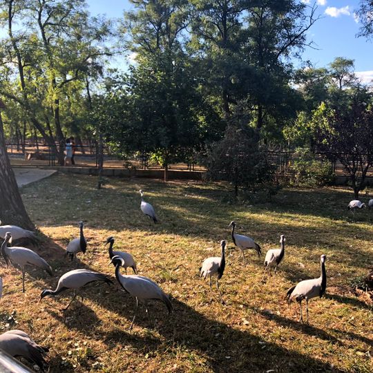 秦皇岛野生动物园