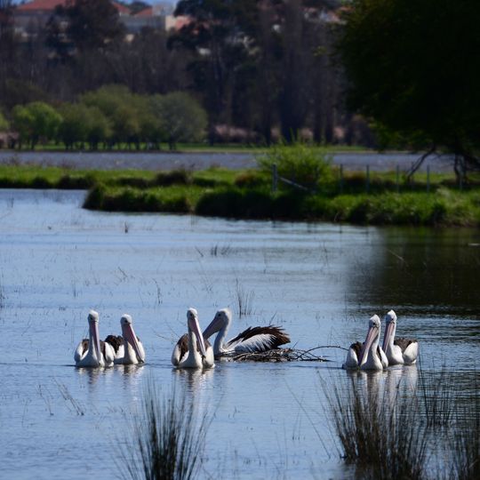 Jerrabomberra Wetlands Nature Reserve