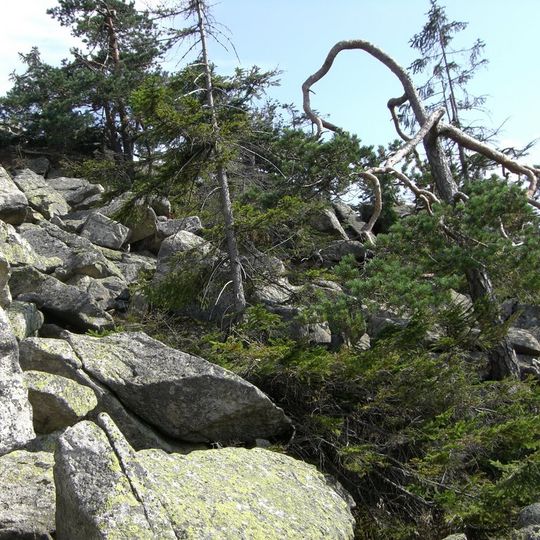 Schneeberggebiet und Goldkronacher / Sophientaler Forst