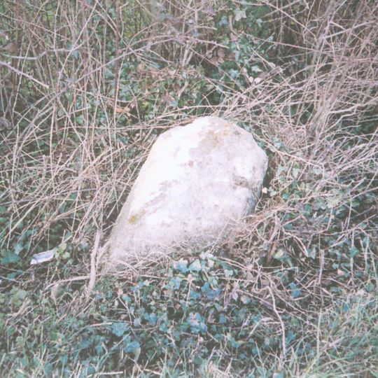 Milestone, E of E Lydford