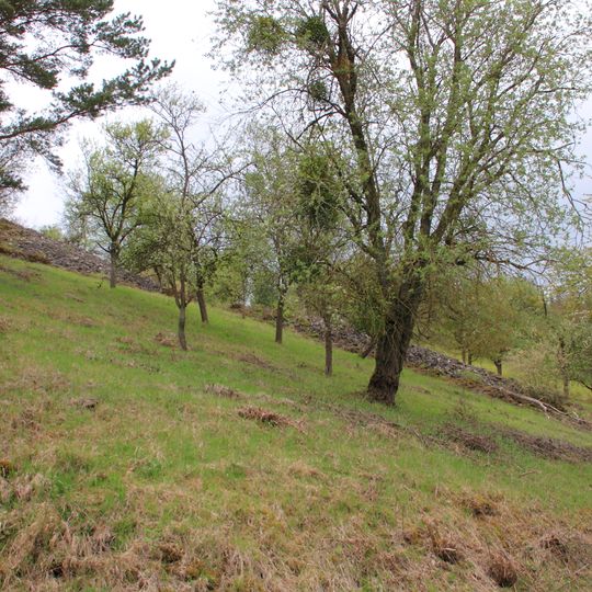 Pflanzenstandort Oberer Berg