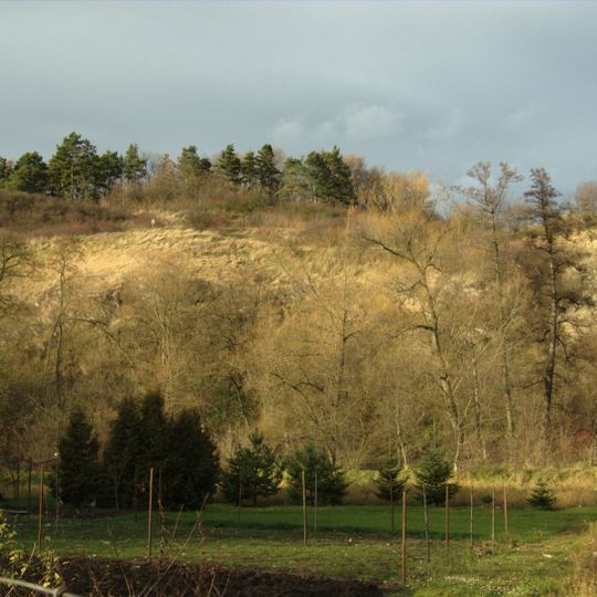 Stráň u Chroustova