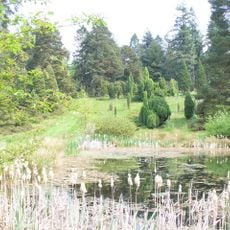 Bedgebury National Pinetum