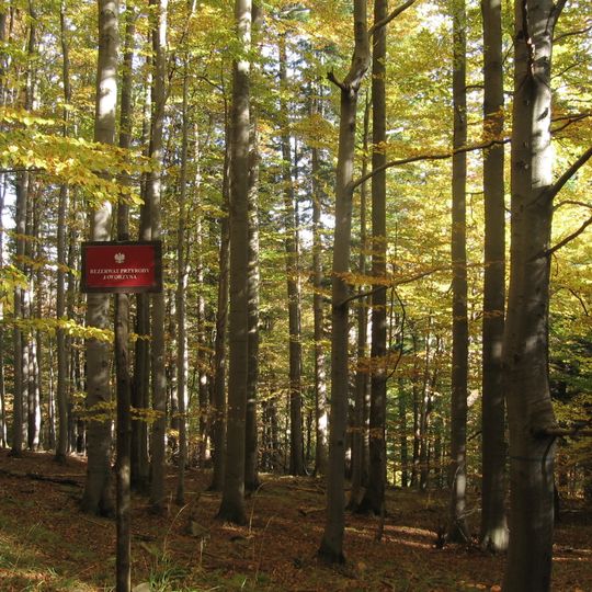 Rezerwat przyrody Jaworzyna