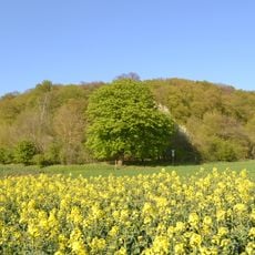 Nenkel
