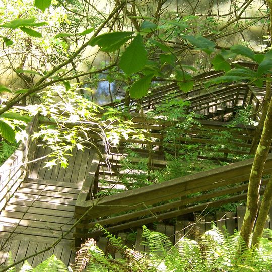 Devil's Millhopper Geological State Park