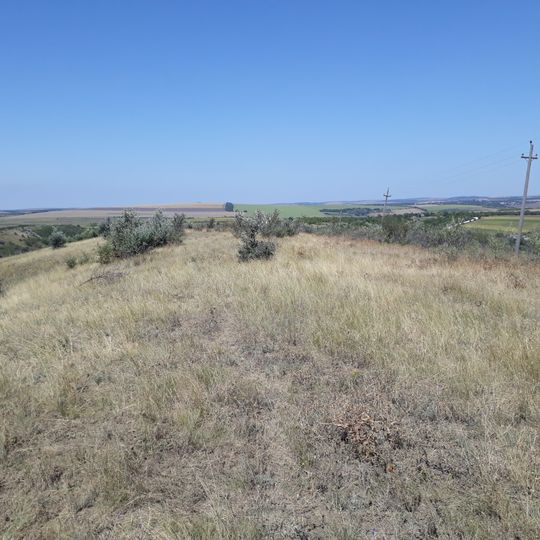 Cetățuie - Pietrosul Nou