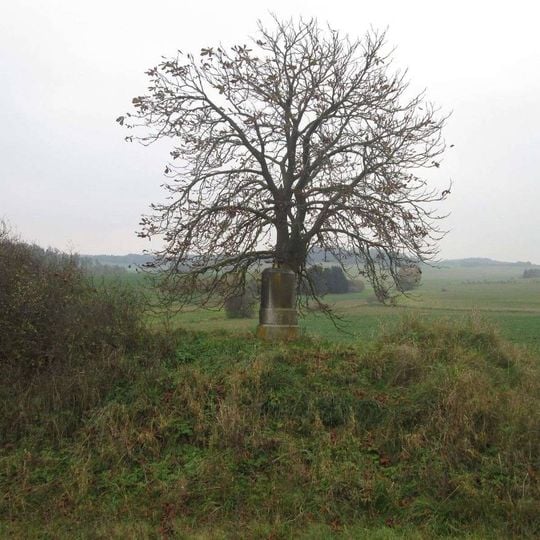 Kříž jižně od Koupě u rybníka