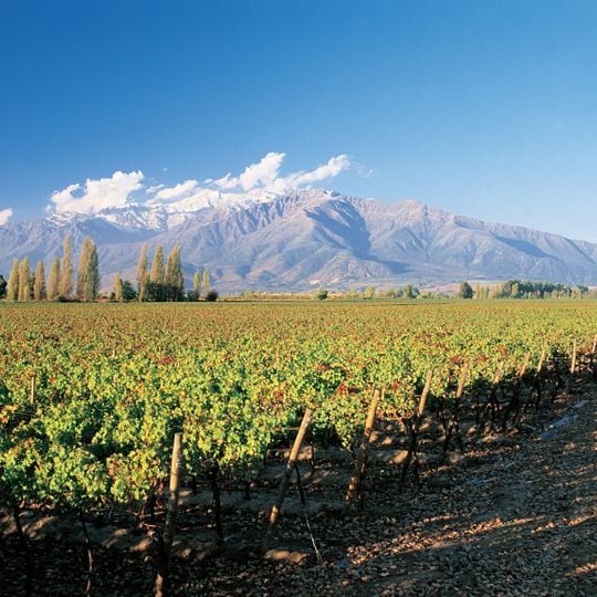 Chilean Central Valley
