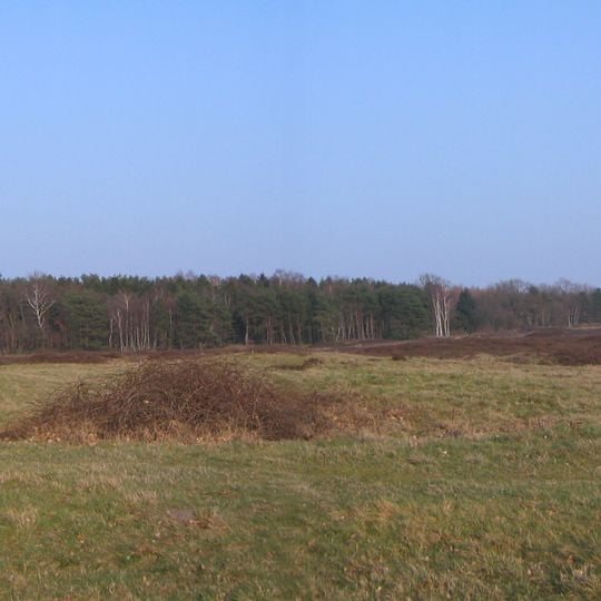 Pestrup grave field