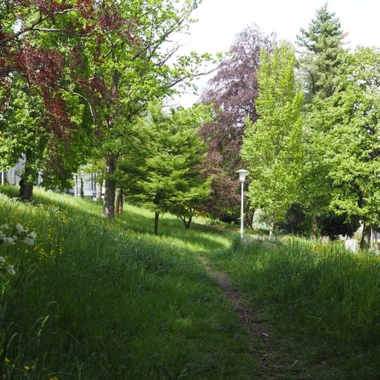 'Baumbestand zwischen dem ''Oberen Triftweg'' und der ''Von-Garßen-Straße'''