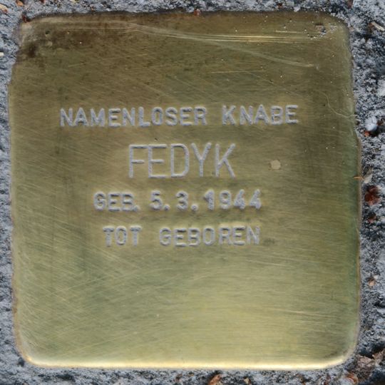 Stolperstein dedicated to the nameless boy Fedyk