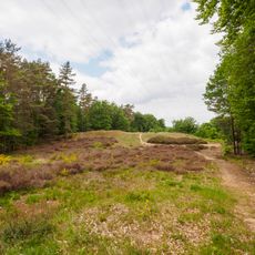 Landschaftsschutzgebiet "Binnendüne nordöstlich Homburg"