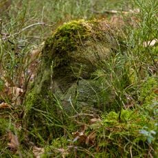 Grenzstein Fürther Stadtwald in Fürth