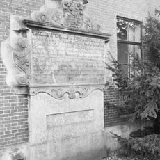 Skilpaed 28, Dronryp