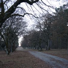 Naturdenkmal Lindenhain Bei der Straßenkapelle