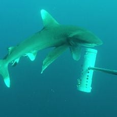 Montebello Islands Marine Park