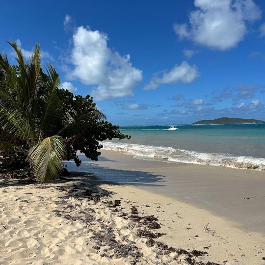 Cottongarden Bay Beach