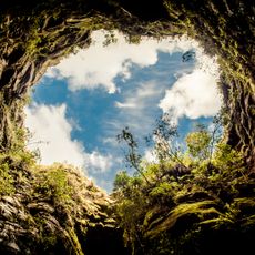 Campos Gerais National Park