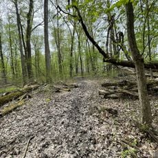Culberson Woods State Nature Preserve