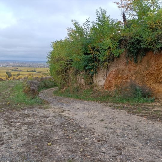 Rheingrabenrandstörung am Hahnenbühl