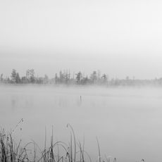 Reserva Natural de Rivnens'kiy