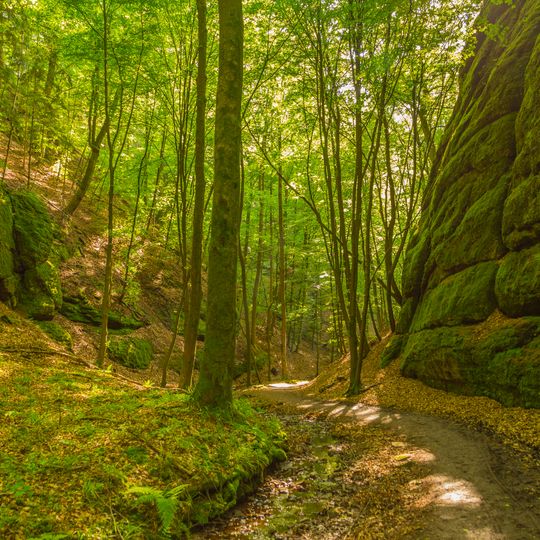 Wälder mit Schluchten zwischen Wartburg und Hohe Sonne