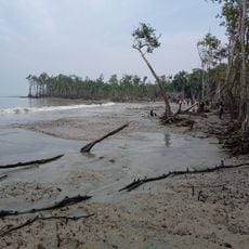 জামতলা সমুদ্র সৈকত