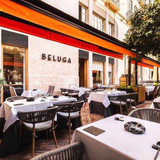 Beluga - Mediterranean Restaurant
