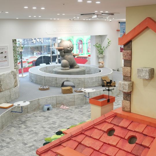 Roofcatme cat cafe myeongdong