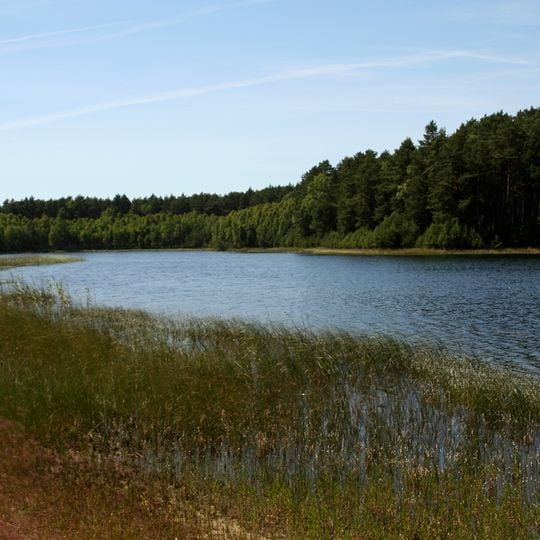 Bory Tucholskie National Park