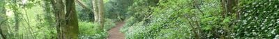 Panoramic View 1