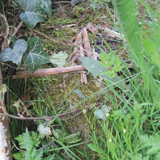 Milestone, roadside at SJ51162822