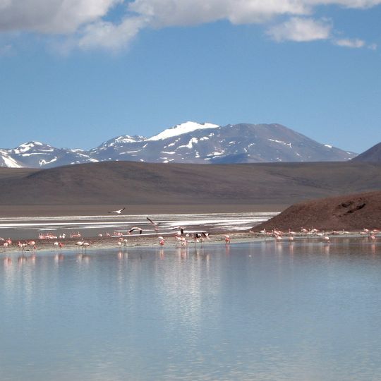 Laguna Brava