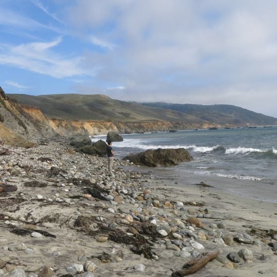 Andrew Molera State Park