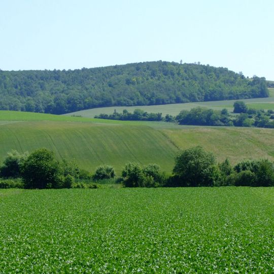 Kreisgrabenanlage Lange Ries