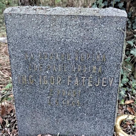Pomník padlému Igoru Fatějevovi u silnice jižně od Řepína