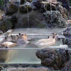 Saitama Children's Zoo