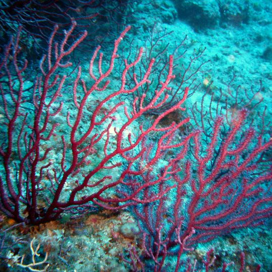 Area naturale marina protetta Portofino