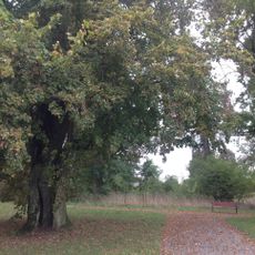 Manor park in Planta