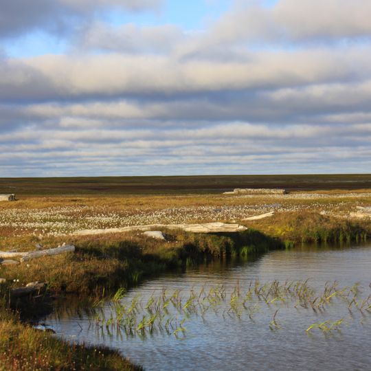 Park Narodowy „Gydanskij”