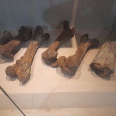 Purabaya Museum