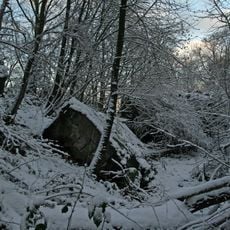 Felsennest