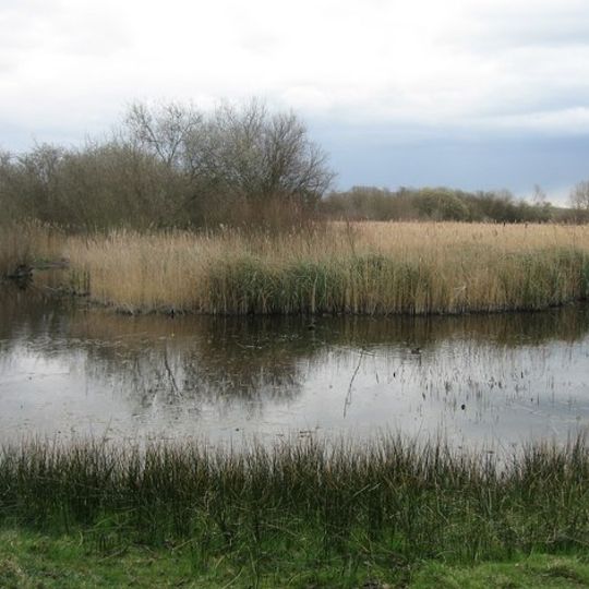 Fowlmere RSPB reserve